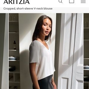 Aritzia Babaton Randy Blouse